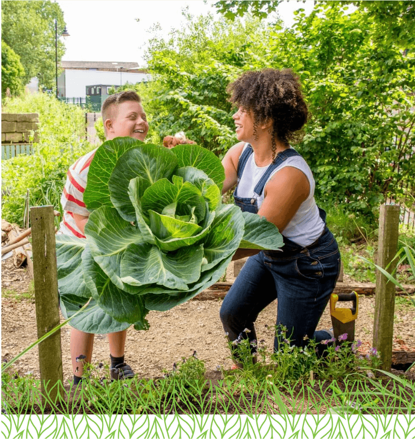 About Us Northern Gardener