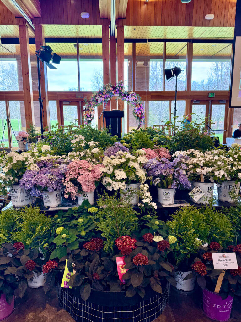 Shrubs at the Garden Gala