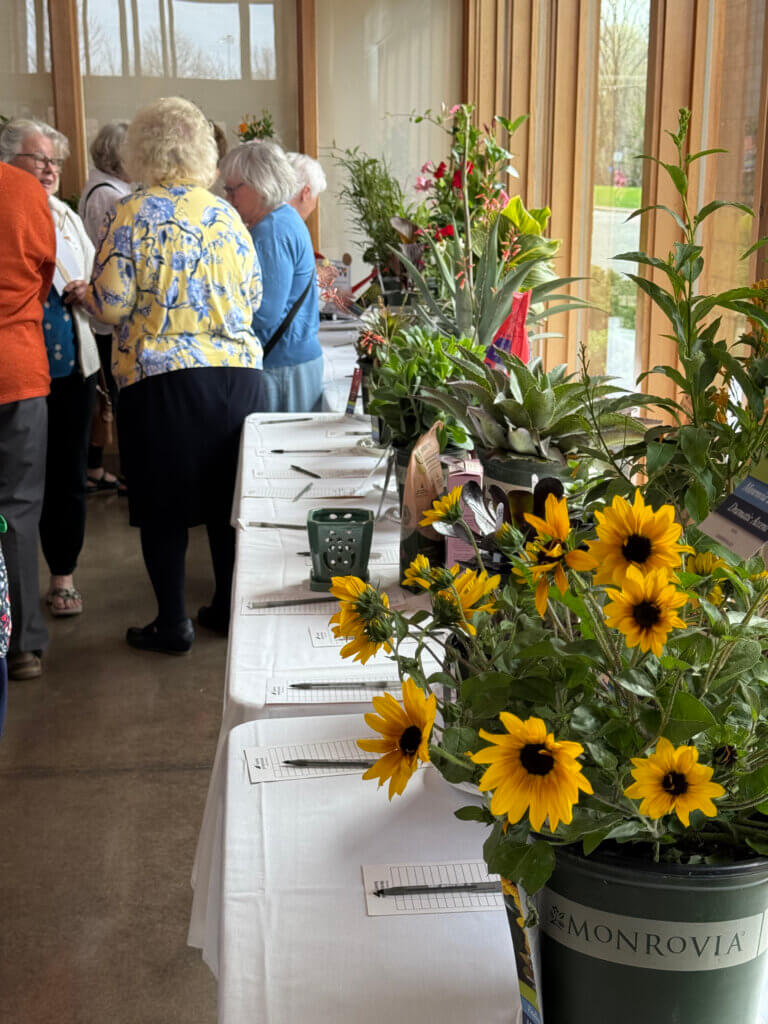 Monrovia plants at the Garden Gala silent auction