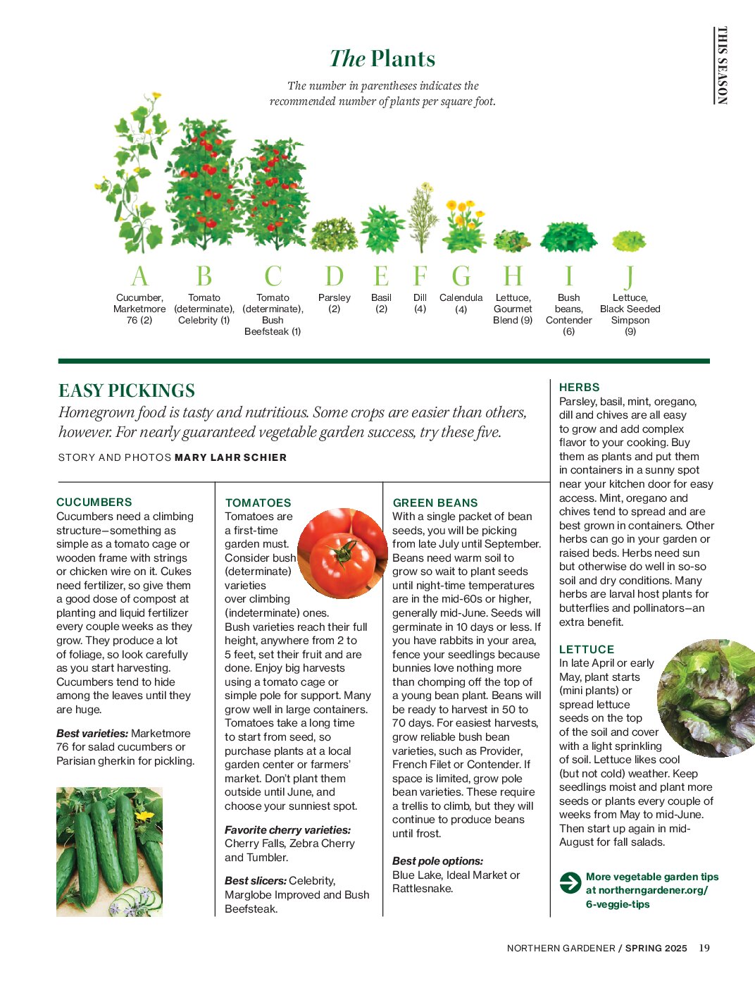 Vegetable Starter Garden Design Northern Gardener