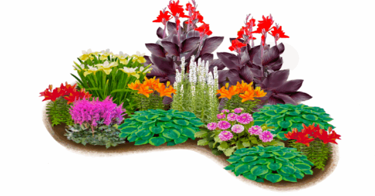 Bulb and Bare Root Garden Design