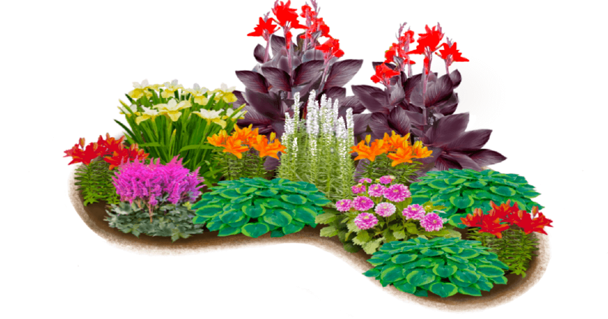 Bulb and Bare Root Garden Design
