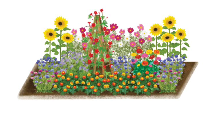 Seed garden design