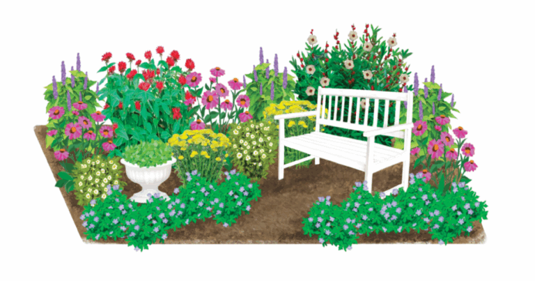 Herbal Tea Garden
