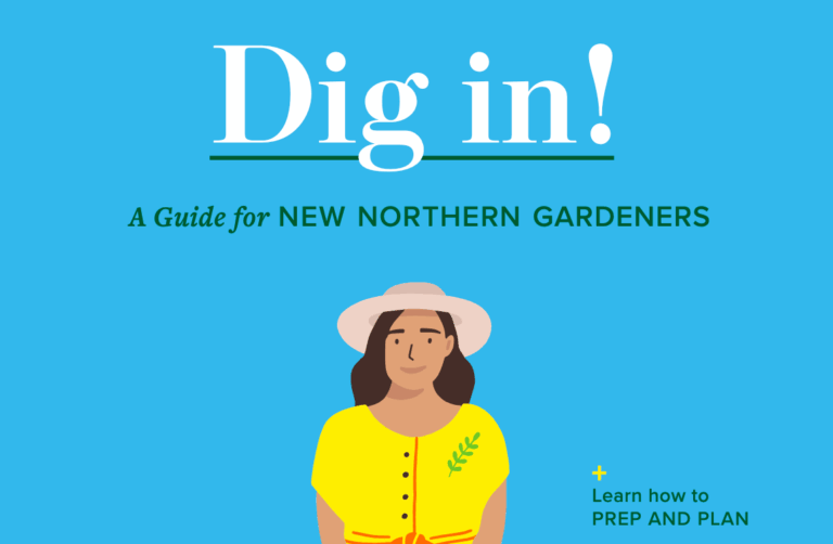 Cover of Dig In guide