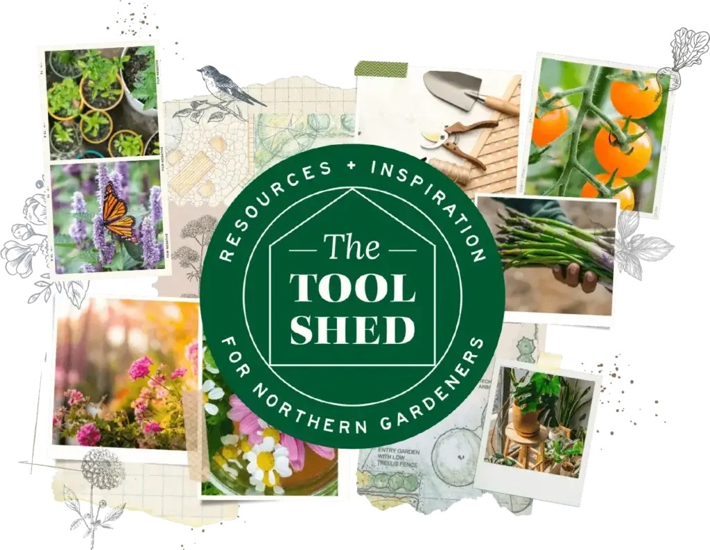 The Tool Shed logo