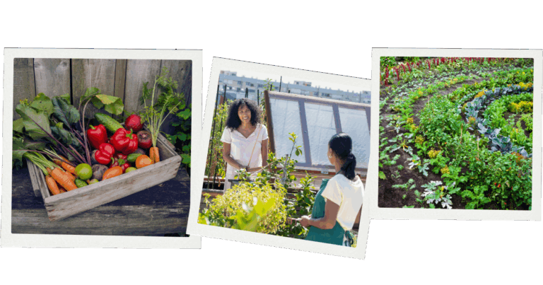 Resources for Emerging Farmers