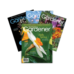 Northern Gardener 2024 issue spread