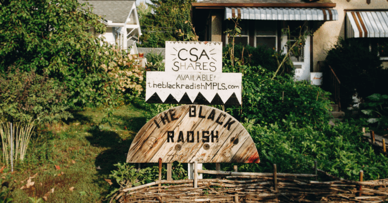 The Black Radish provides CSA shares to local Minneapolis neighborhood