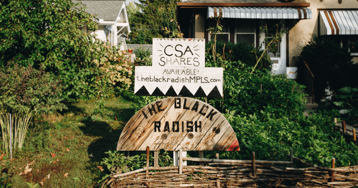 The Black Radish provides CSA shares to local Minneapolis neighborhood