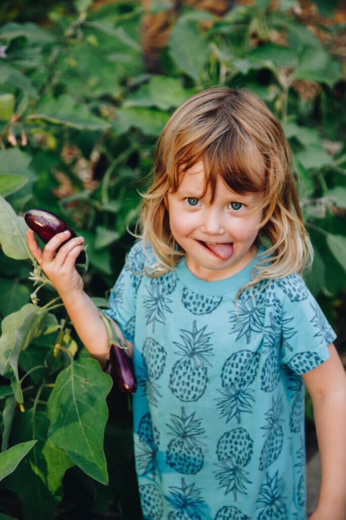 Young girl picking a fresh egglpant