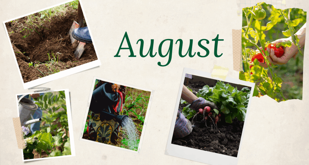 August chores