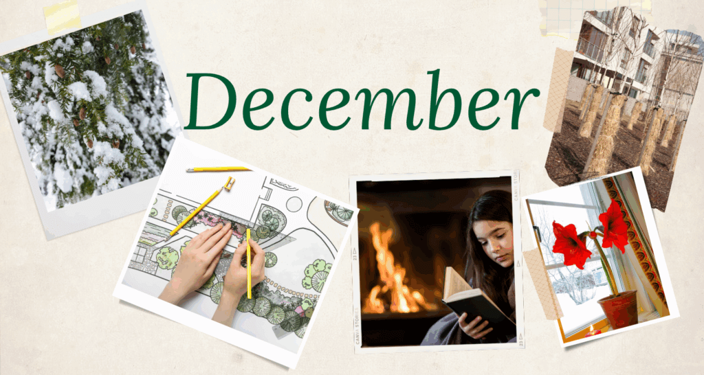 December to-dos