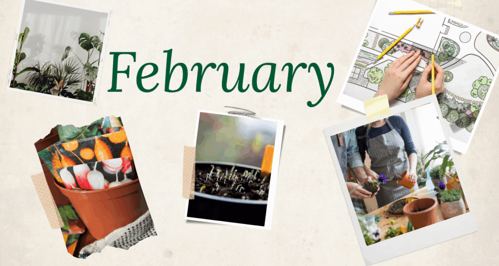February checklist