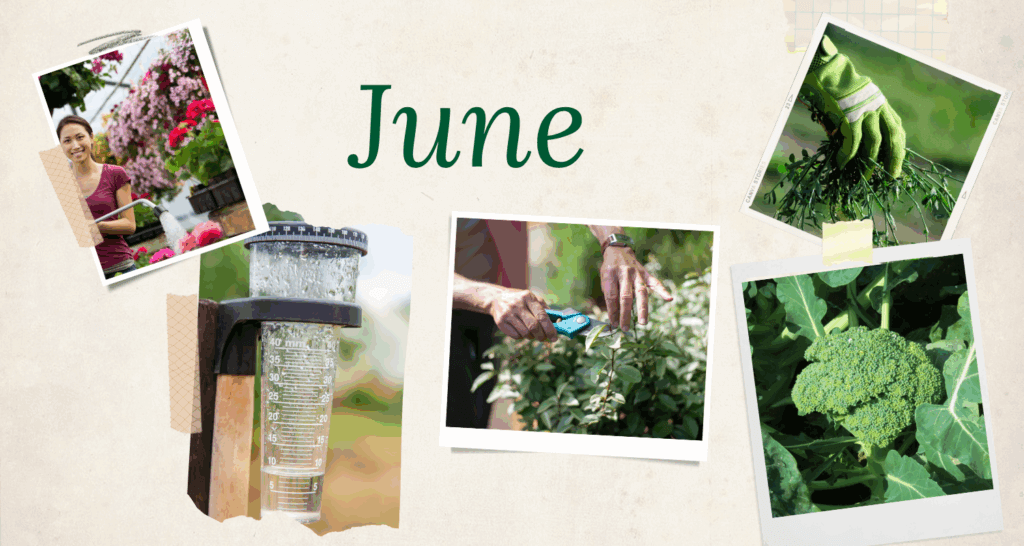 June checklist for northern gardeners
