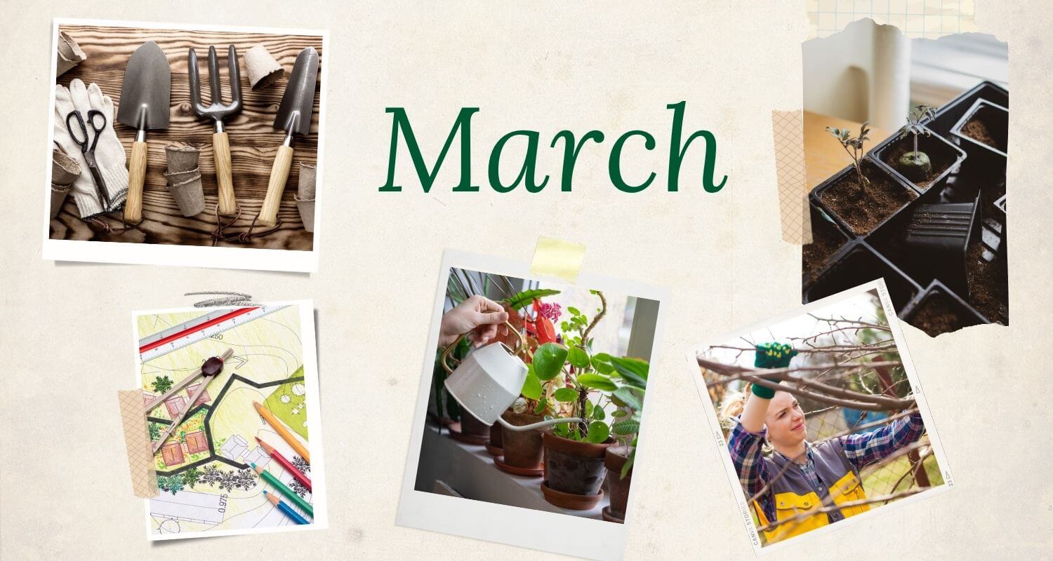 March in the Garden