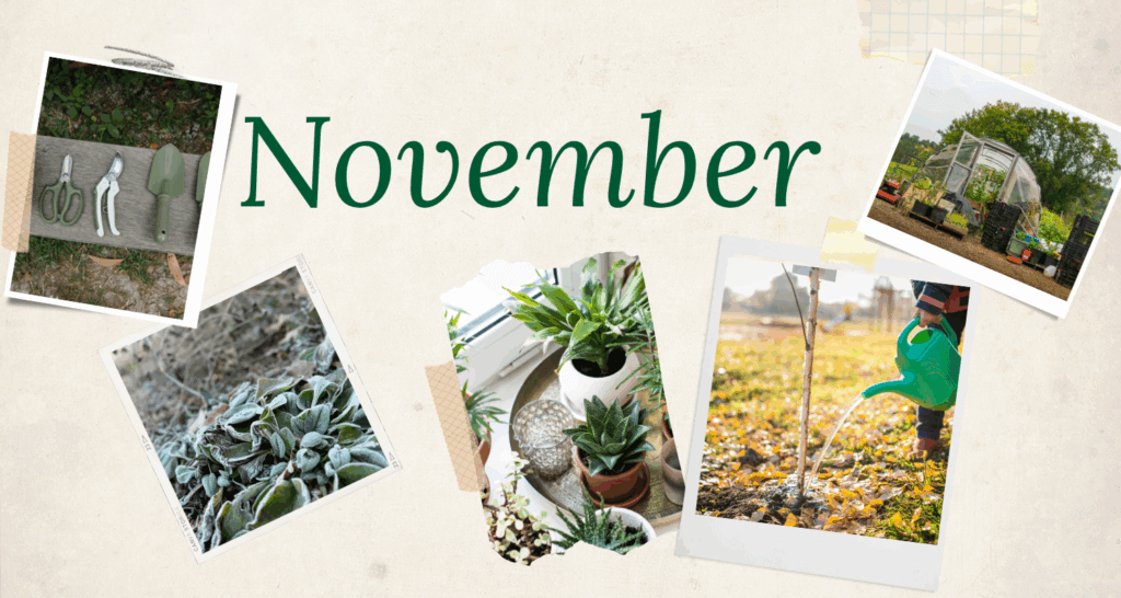 November chores