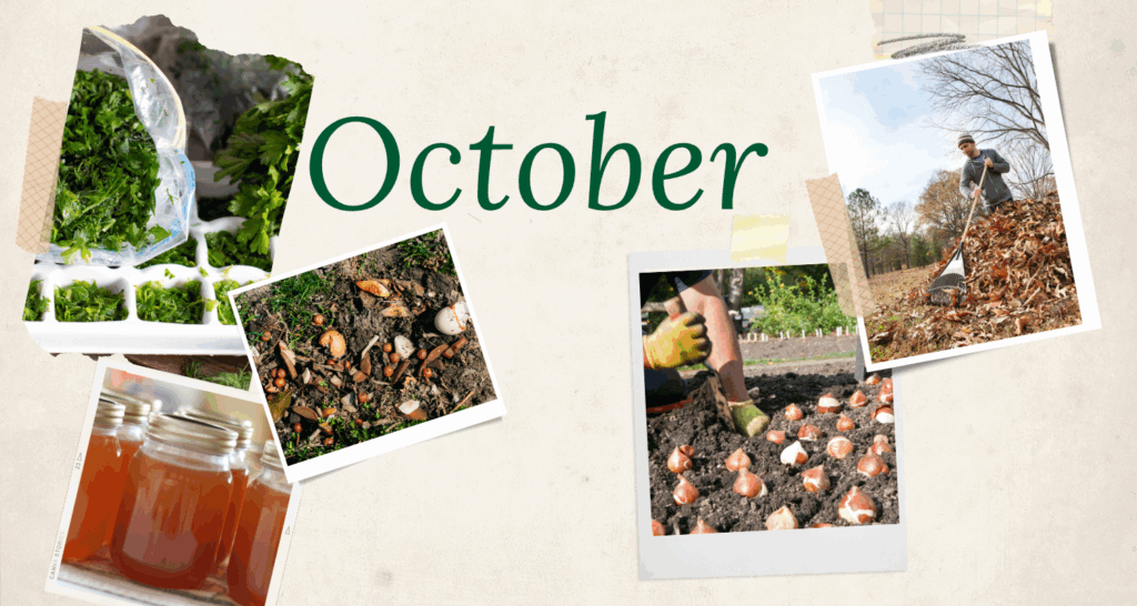October garden checklist