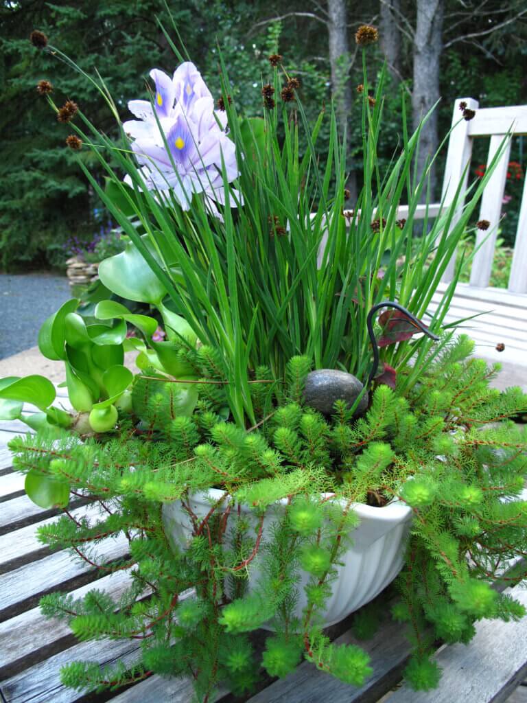 A metallic heron sits among the cascading and flowering plants in this batter bowl- based DIY water garden.