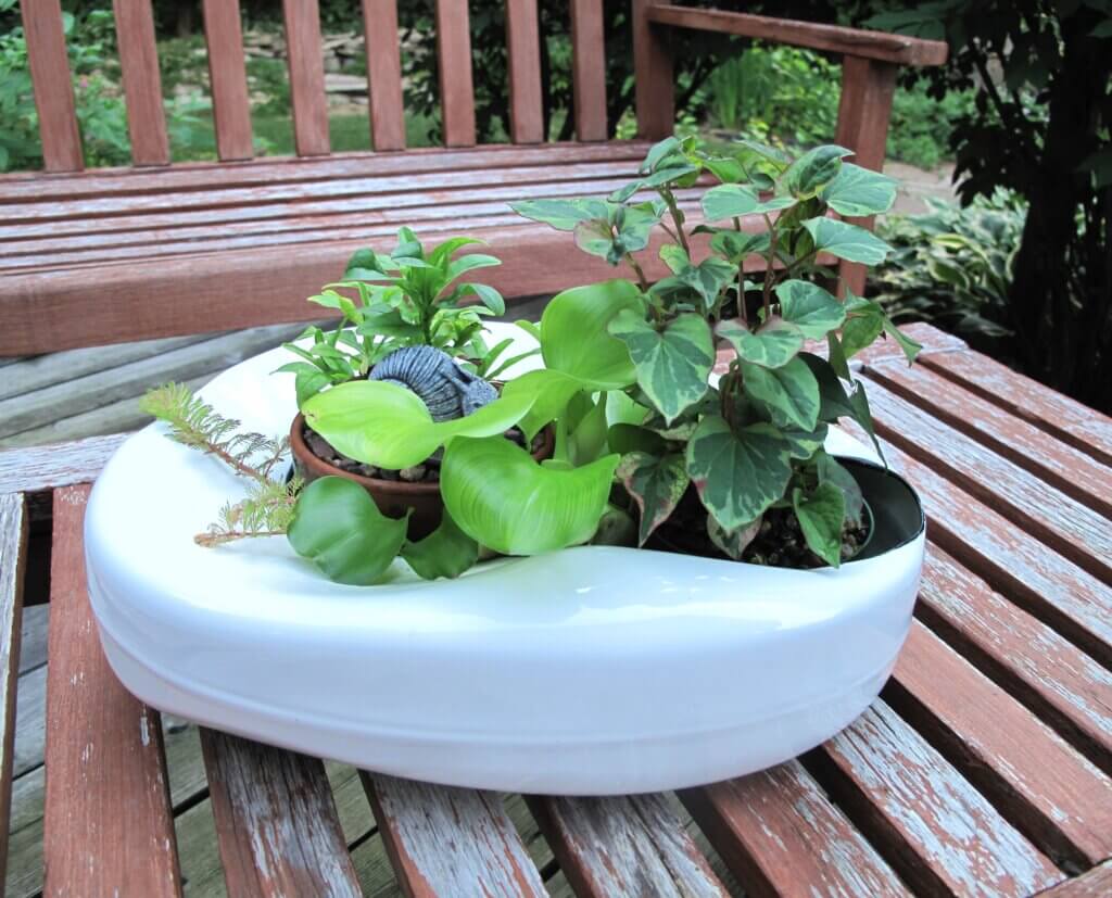 A variety of different shaped and textured plants rise out of an upcycled bedpan in this water garden.