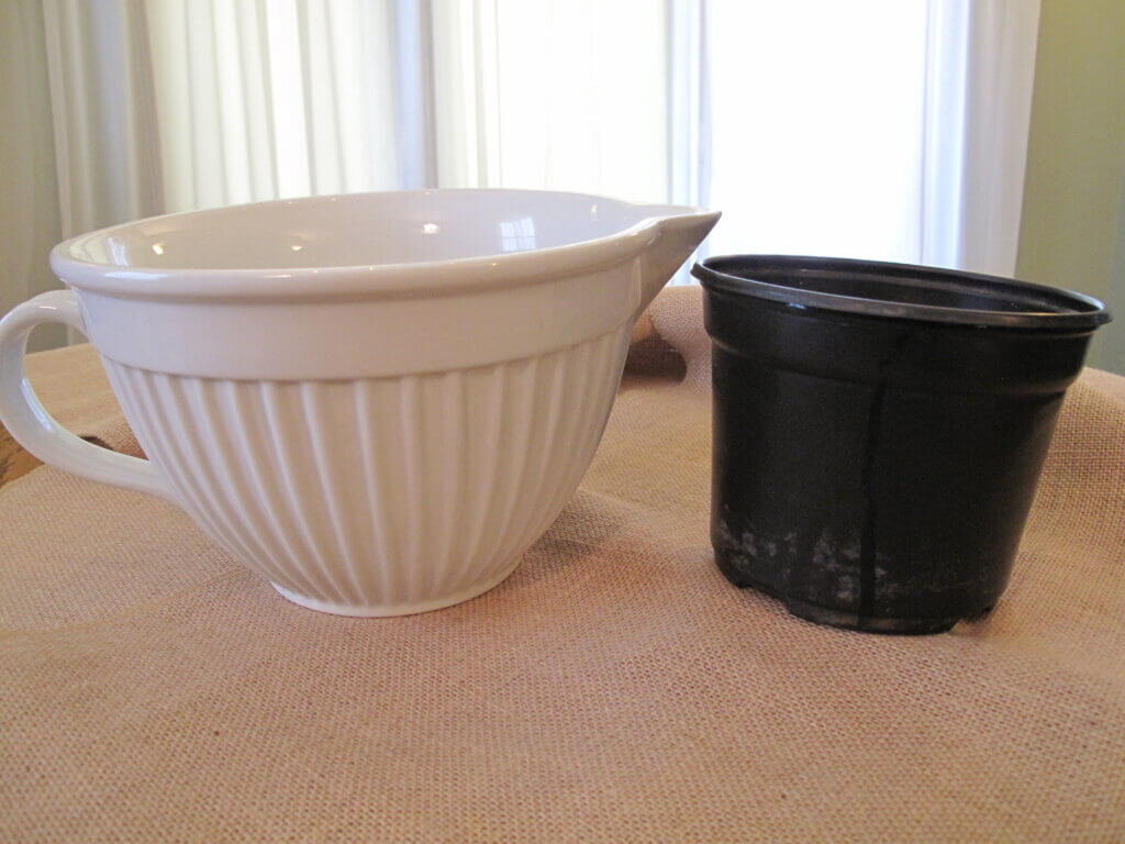 Two containers for starting a water garden side-by-side