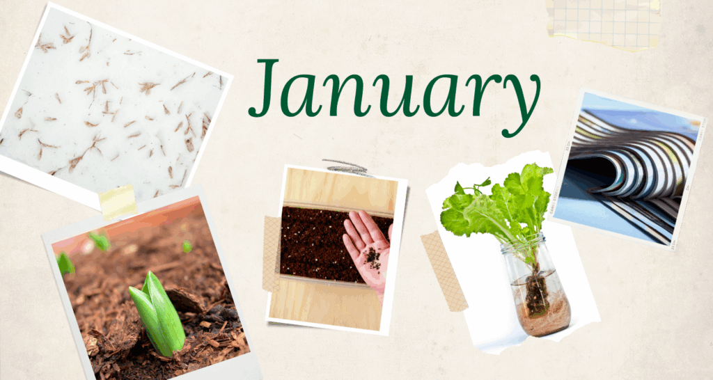 January gardening to-do checklist