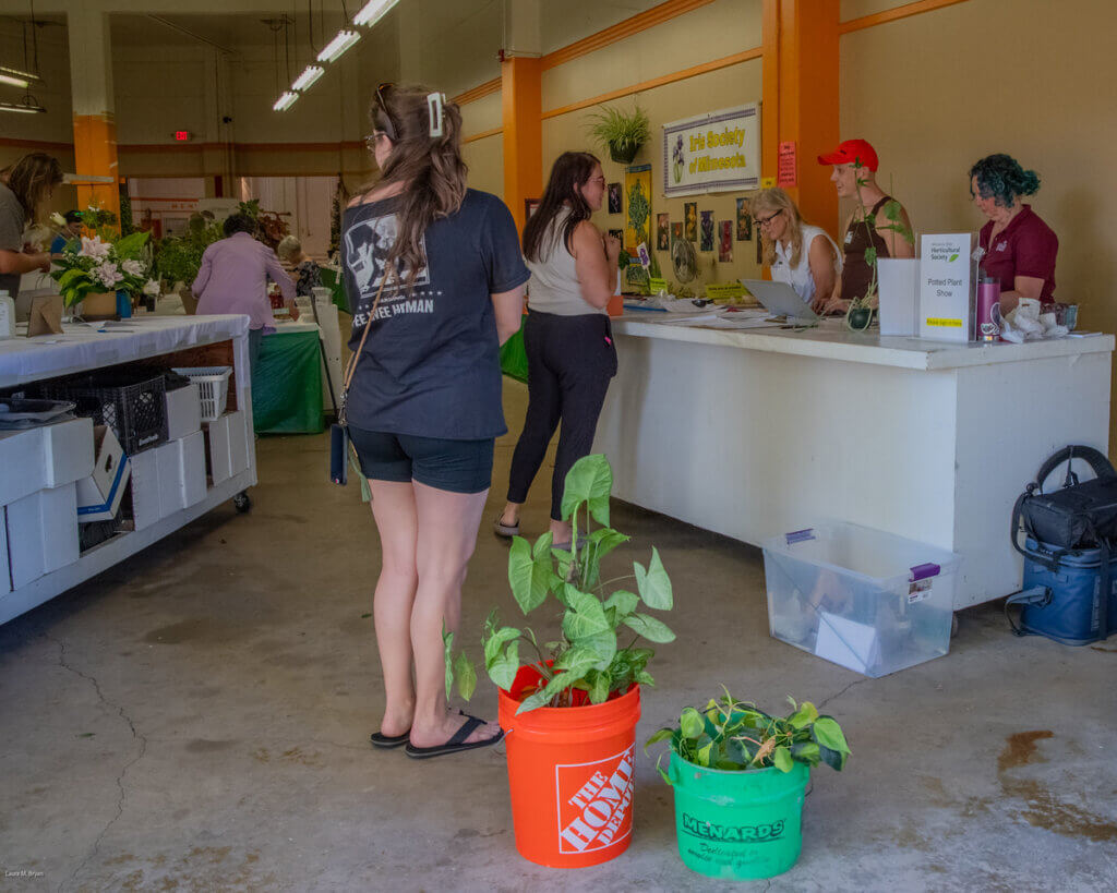 2025 Potted Plant Show Intake by Laura M Bryan