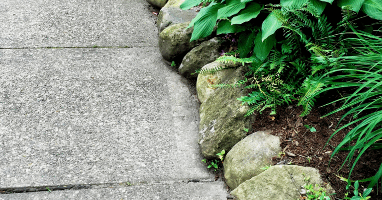 Living on the edge garden blog