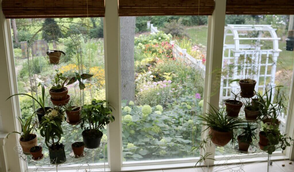 The view of out the window into a garden. There are plenty of indoor plants inside the home, allowing an experience of nature year-round. 