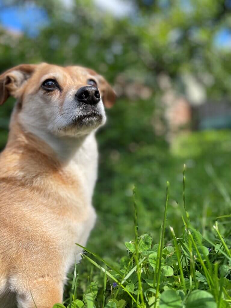 Bruce Wayne aka Worm Boy