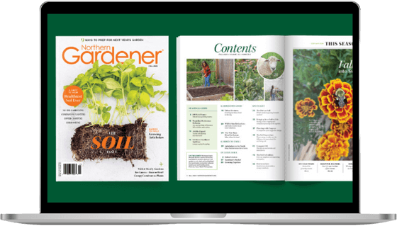 Digital issue featuring fall magazine