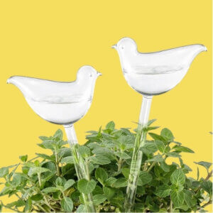 Indoor watering birds