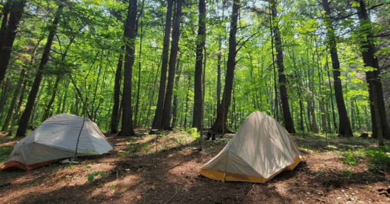 Soil health in nature