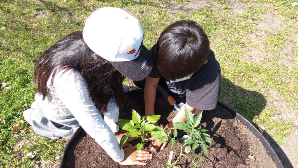 Children planting a Garden-in-a-Box