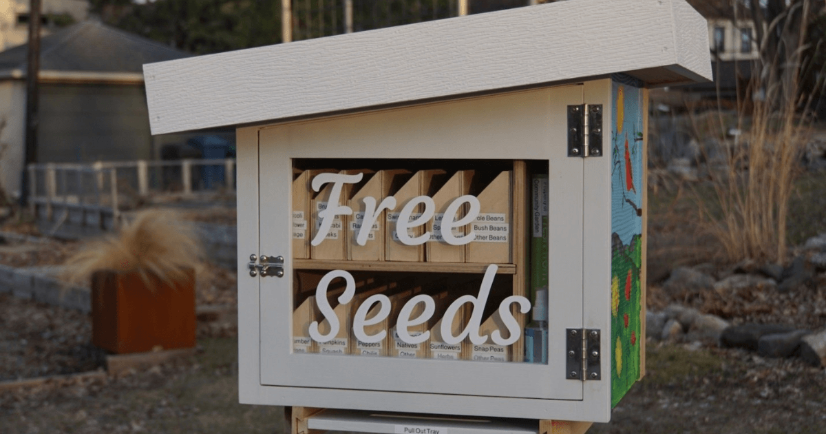 Hale Page Diamond Lake Gardens have been serving up free seeds since 2021.