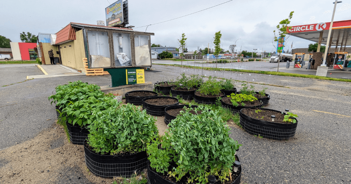 Koochiching County Food Access