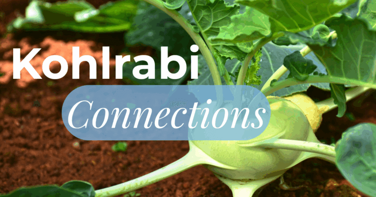 Kohlrabi Connections: A story of food and family ties