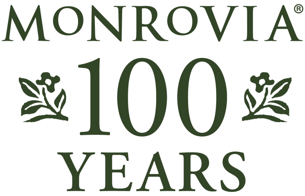 Monrovia 100 Years