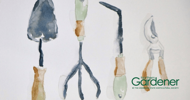 A watercolor image of tools used in plant propagation
