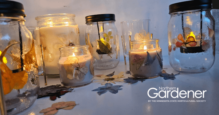 Pressed flower luminary project
