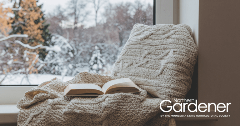 Winter reads from MSHS staff