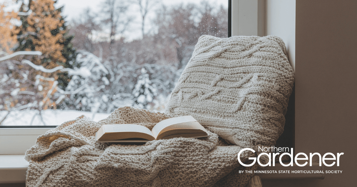 Winter reads from MSHS staff