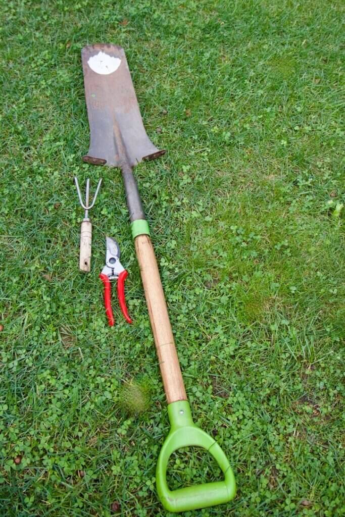 A bypass pruner, transplanting spade and garden claw should be in every gardener’s toolkit.