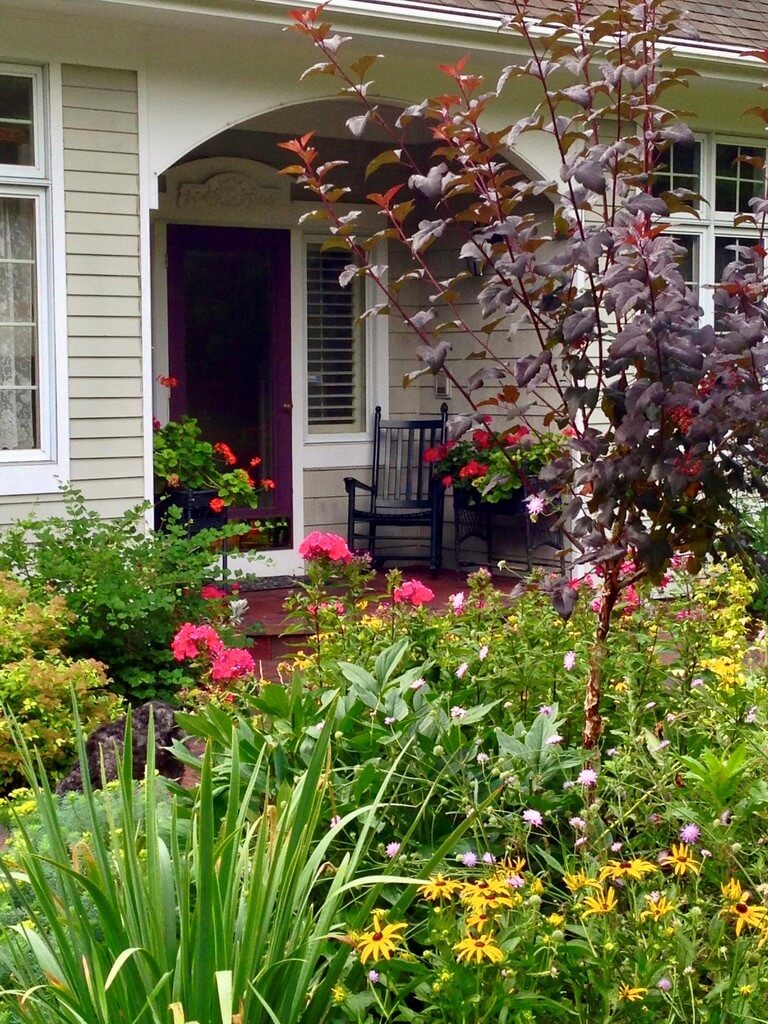 The Phlox paniculata ‘Starfire’ and Rudbeckia fulgida ‘Goldsturm’ pictured here were divided and now grace several spots in the landscape.