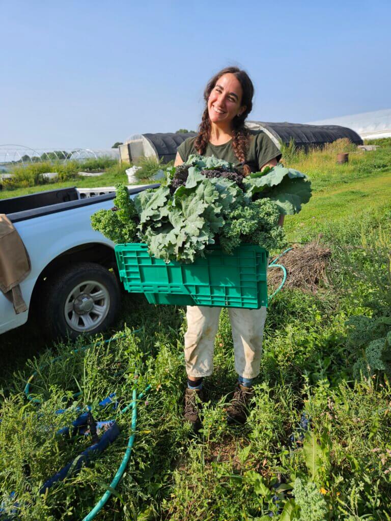 Harvesting vegetables