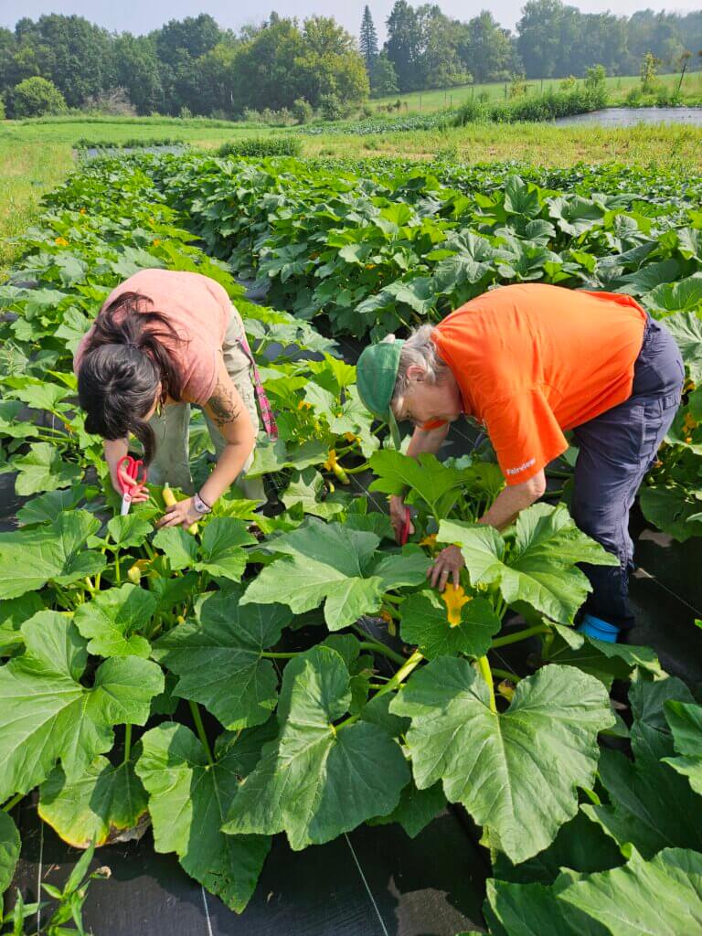 Maintaining the land