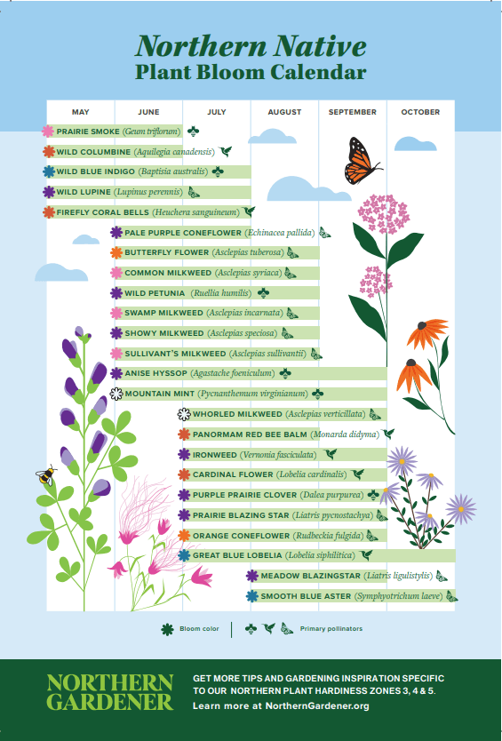 Northern Native Plant Bloom Calendar
