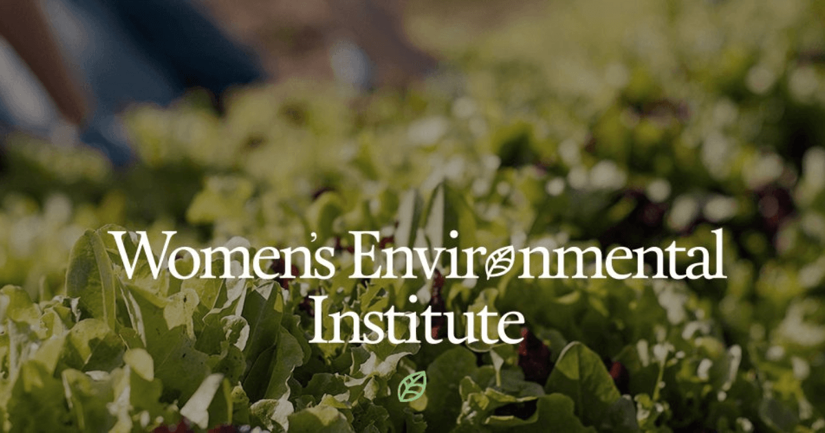 Women's Environmental Institute