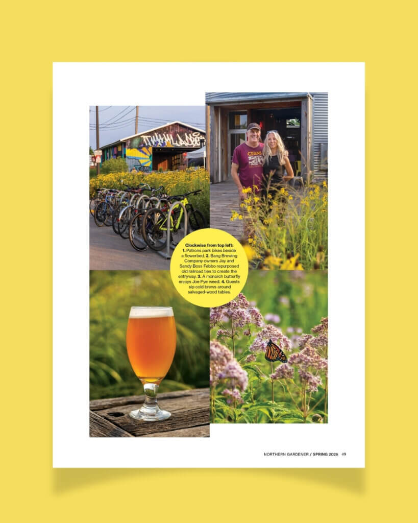 Bang Brewing feature