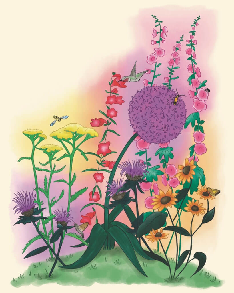 Peculiar Pollinators